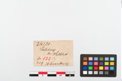 Etiketten zu Perlenkette (NHMW-PRAE-024130)